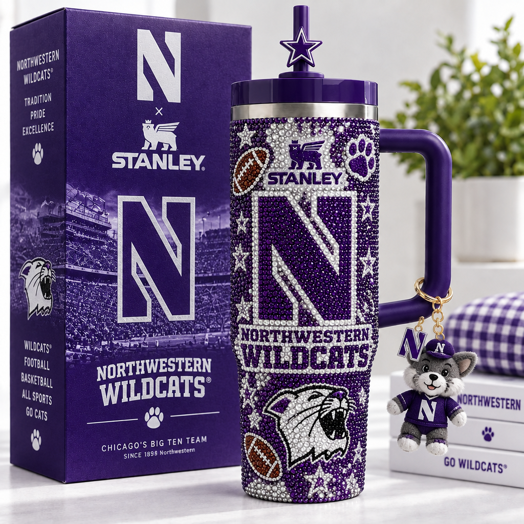 Northwestern Wildcats 40oz Tumbler With Handle TTNL